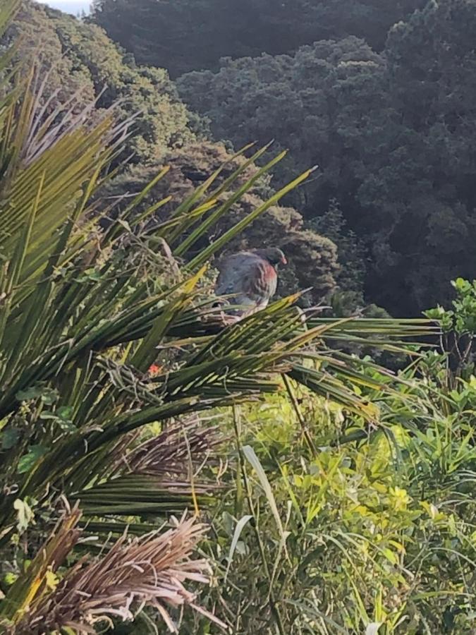 Muriwai Lodge Kültér fotó